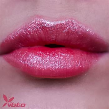 رژ لب مایع میستی شاین گرم مریدا شماره MERIDA 81